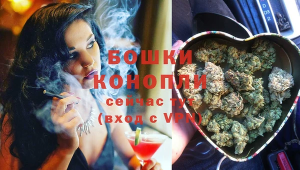 шишки Абдулино