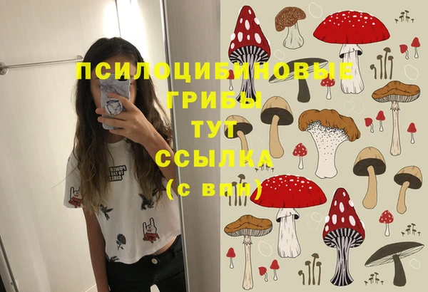 шишки Абдулино