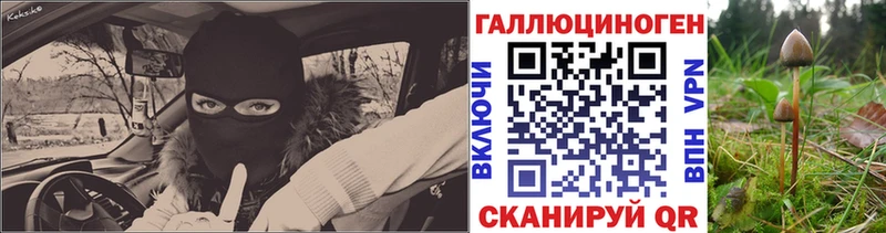 Галлюциногенные грибы Psilocybe  Аксай 